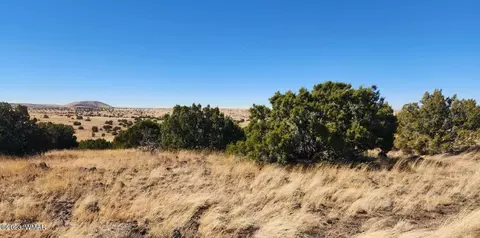 tbd Fox Ln, Concho, AZ 85924 photo 2
