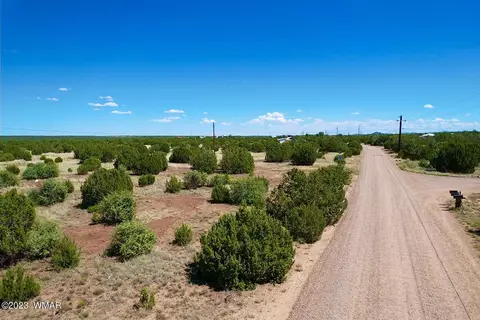 8518 Cannon Blvd, Show Low, AZ 85901