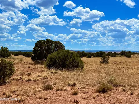 3831 Clyde Rd, Snowflake, AZ 85937 photo 13