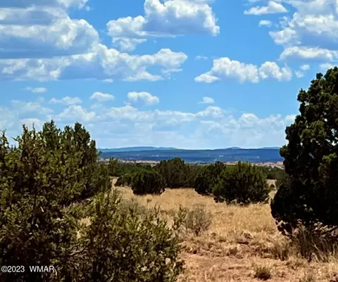 3831 Clyde Rd, Snowflake, AZ 85937