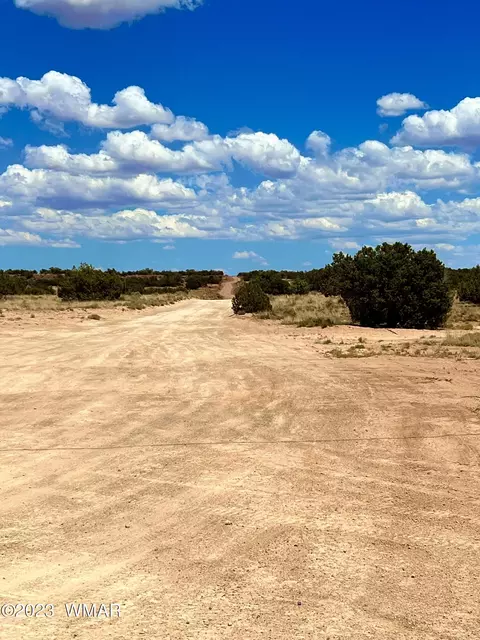 3831 Clyde Rd, Snowflake, AZ 85937 photo 9