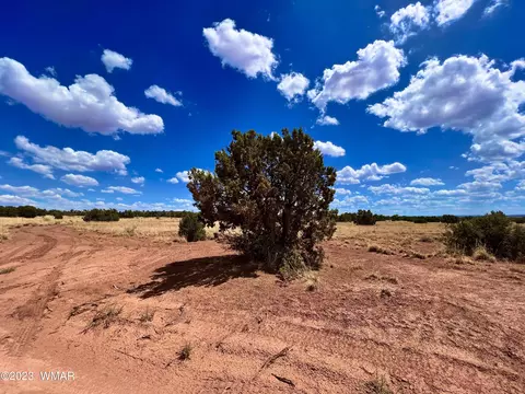 3831 Clyde Rd, Snowflake, AZ 85937 photo 15