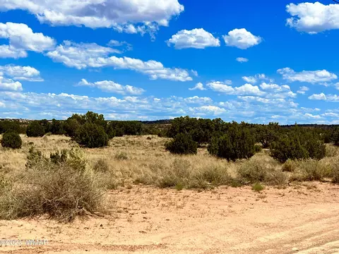 3831 Clyde Rd, Snowflake, AZ 85937 photo 3