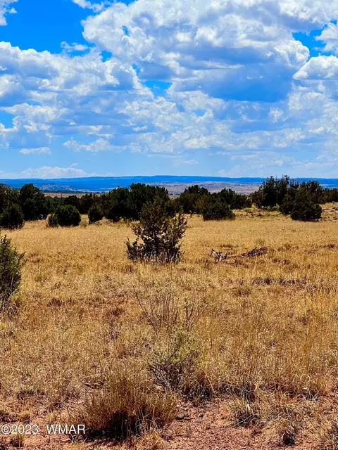3831 Clyde Rd, Snowflake, AZ 85937 photo 11