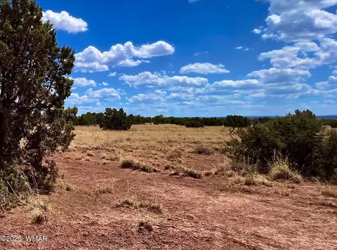 3831 Clyde Rd, Snowflake, AZ 85937 photo 6