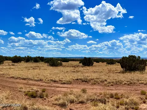 3831 Clyde Rd, Snowflake, AZ 85937 photo 12