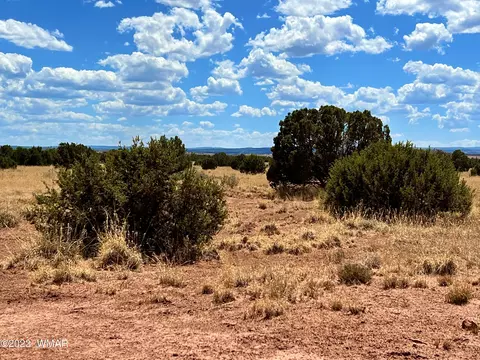 3831 Clyde Rd, Snowflake, AZ 85937 photo 8