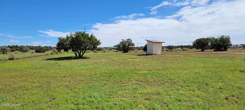 4732 Norris Rd, Snowflake, AZ 85937 photo 64