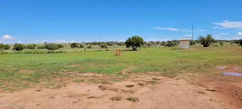 4732 Norris Rd, Snowflake, AZ 85937 photo 60