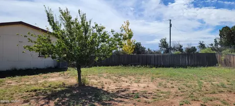 4732 Norris Rd, Snowflake, AZ 85937 photo 54
