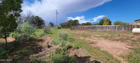 4732 Norris Rd, Snowflake, AZ 85937 photo 43
