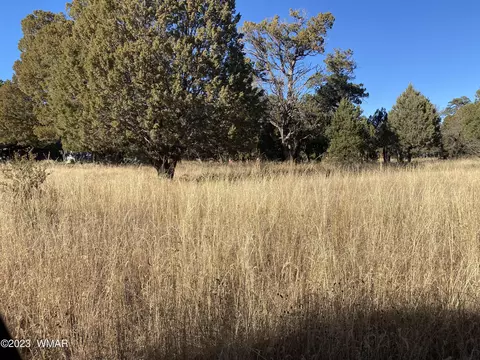2192 Arrowhead Trl, Overgaard, AZ 85933