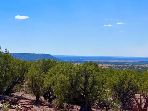 Tbd Bluebell Ln 18 Acres, Snowflake, AZ 85937