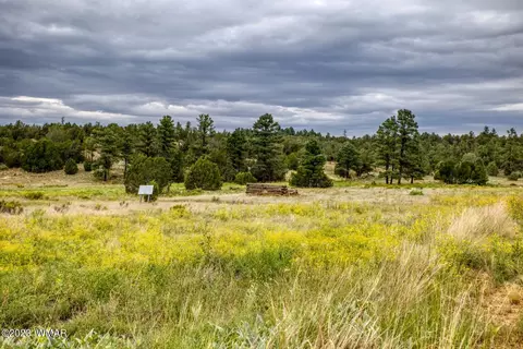 7140 State Route 260, Show Low, AZ 85901