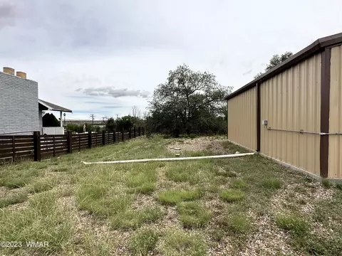 223 S Sheldon Ave, Springerville, AZ 85938 photo 47