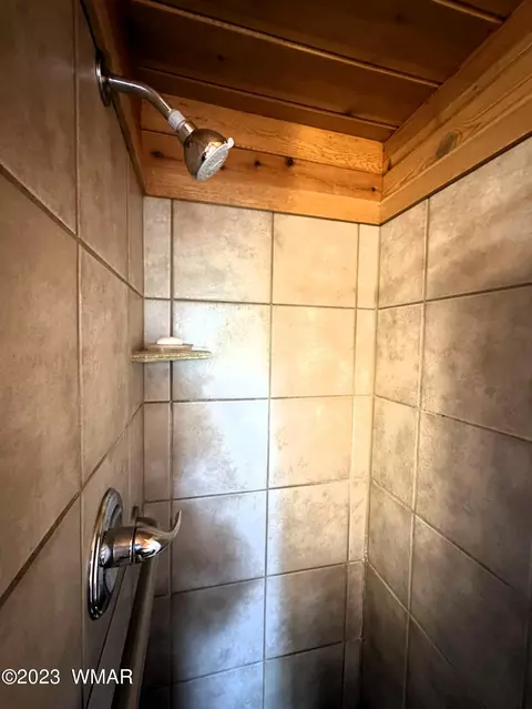 223 S Sheldon Ave, Springerville, AZ 85938 photo 18
