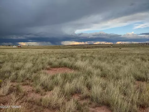 32 County Road 6031, Saint Johns, AZ 85936