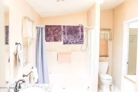 411 Timber Ridge Loop, Show Low, AZ 85901 photo 21