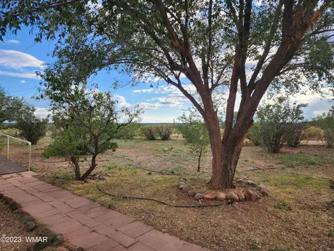 4505 S Pinto Rd, Snowflake, AZ 85937 photo 21