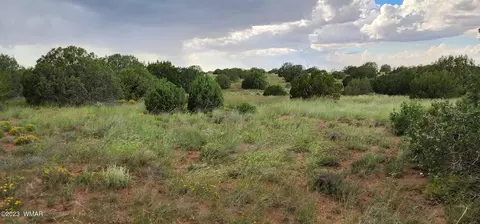 4505 S Pinto Rd, Snowflake, AZ 85937 photo 43