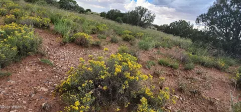 4505 S Pinto Rd, Snowflake, AZ 85937 photo 47