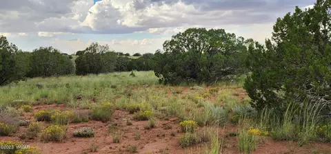 4505 S Pinto Rd, Snowflake, AZ 85937 photo 53