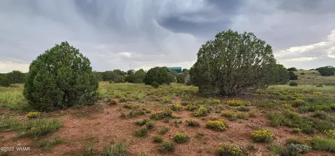 4505 S Pinto Rd, Snowflake, AZ 85937 photo 46