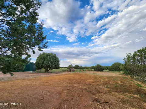 4505 S Pinto Rd, Snowflake, AZ 85937 photo 31