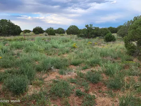 4505 S Pinto Rd, Snowflake, AZ 85937 photo 33