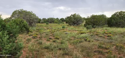 4505 S Pinto Rd, Snowflake, AZ 85937 photo 42
