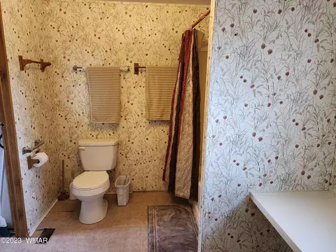 4505 S Pinto Rd, Snowflake, AZ 85937 photo 18