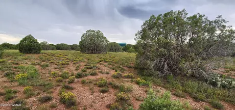4505 S Pinto Rd, Snowflake, AZ 85937 photo 45