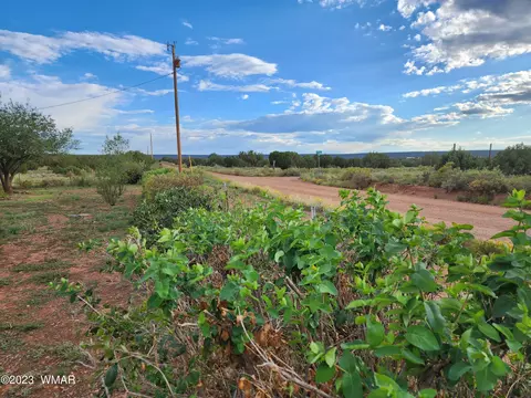 4505 S Pinto Rd, Snowflake, AZ 85937 photo 35