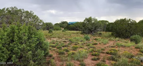 4505 S Pinto Rd, Snowflake, AZ 85937 photo 44
