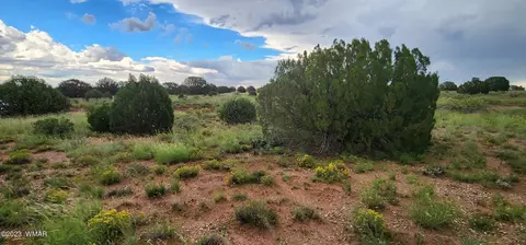 4505 S Pinto Rd, Snowflake, AZ 85937 photo 48