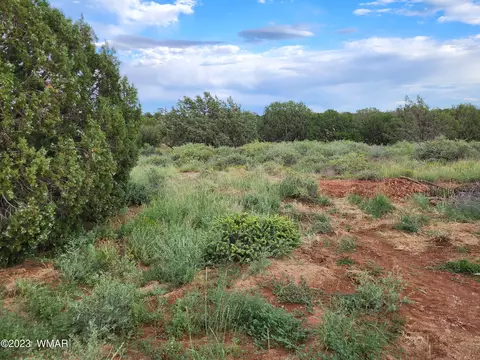 4505 S Pinto Rd, Snowflake, AZ 85937 photo 34