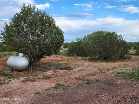 4505 S Pinto Rd, Snowflake, AZ 85937 photo 27