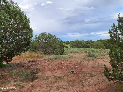 4505 S Pinto Rd, Snowflake, AZ 85937 photo 28