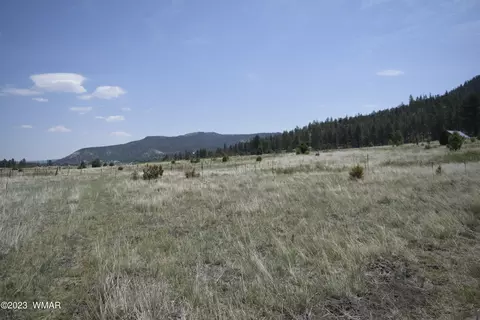 tbd Cr 2275 122 Acre, Nutrioso, AZ 85932