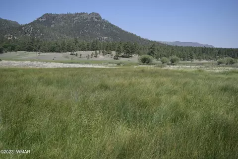tbd Cr 2269, Nutrioso, AZ 85932