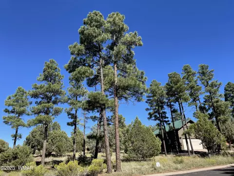 4740 W Mountain Hollow Loop, Show Low, AZ 85901