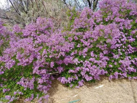 3 N8454, Concho, AZ 85924 photo 37