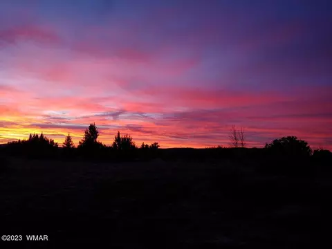 3 N8454, Concho, AZ 85924 photo 32
