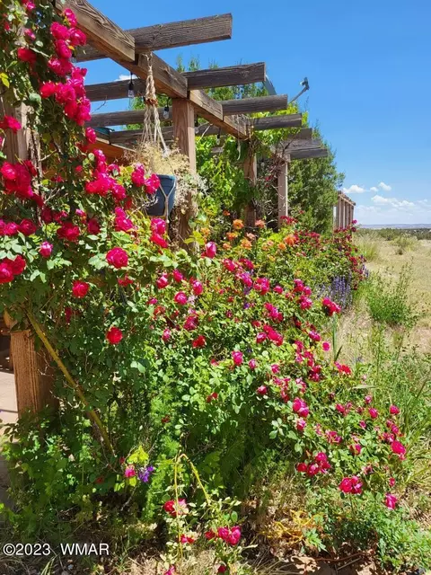 3 N8454, Concho, AZ 85924 photo 33