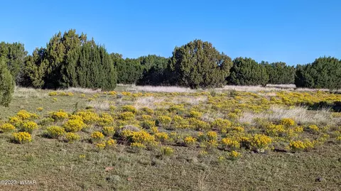 lot27 Winchester Trl, Vernon, AZ 85940