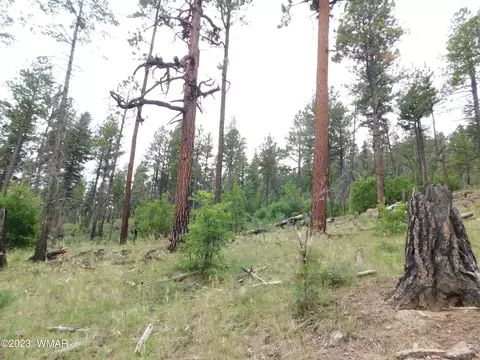13 N2151, Alpine, AZ 85920 photo 10