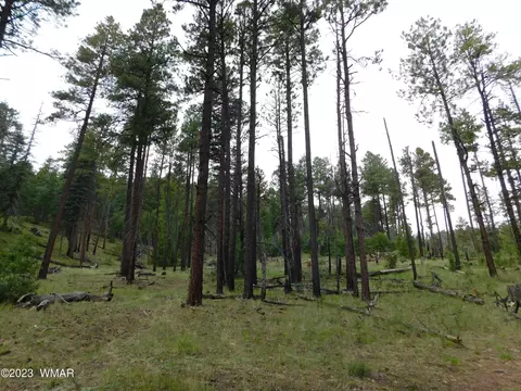 13 N2151, Alpine, AZ 85920 photo 2