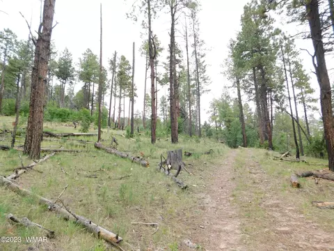 13 N2151, Alpine, AZ 85920 photo 15