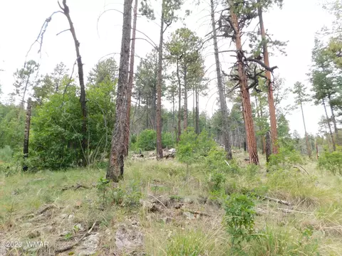 13 N2151, Alpine, AZ 85920 photo 11