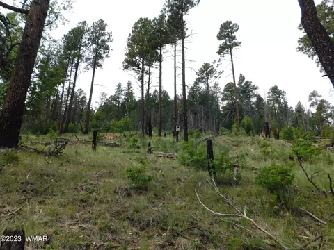 13 N2151, Alpine, AZ 85920 photo 6